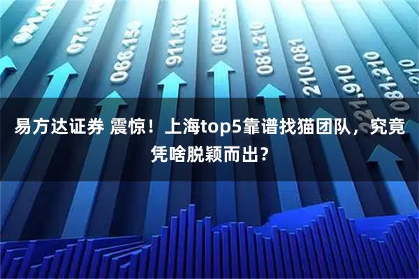 易方达证券 震惊！上海top5靠谱找猫团队，究竟凭啥脱颖而出？