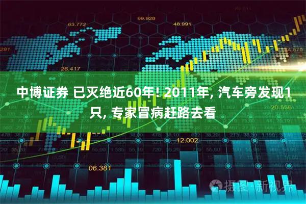 中博证券 已灭绝近60年! 2011年, 汽车旁发现1只, 专家冒病赶路去看