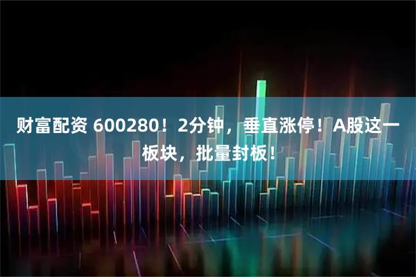 财富配资 600280！2分钟，垂直涨停！A股这一板块，批量封板！